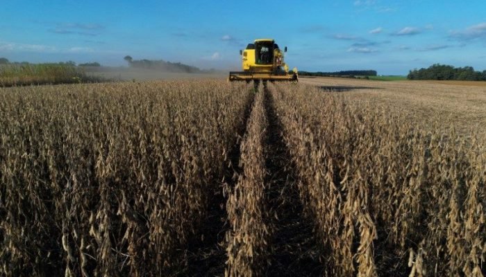 Imagem de drone mostra trabalhador rural operando colheitadeira durante a temporada de colheita d...
