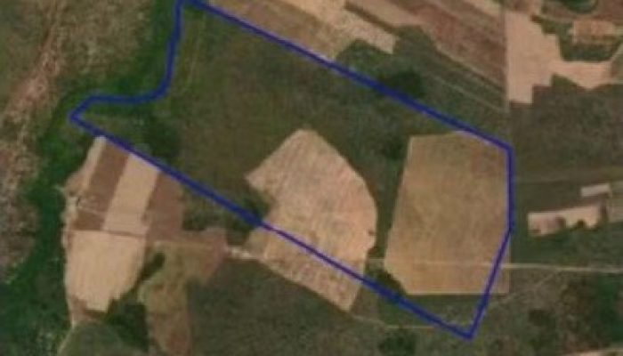 Área da fazenda (Foto: Reprodução)