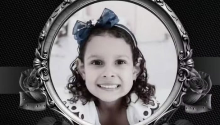 Laisa Ribeiro Cardoso (Foto: reprodução)