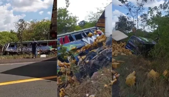 Acidente fatal entre ônibus e carreta na Br-316 deixa três mortos no Maranhão