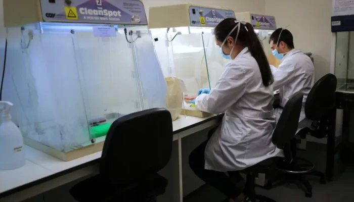 Bactérias do intestino e da boca estão ligadas a traços de psicopatia, aponta estudo