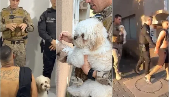Cachorro acompanha tutor durante prisão em Teresina e emociona agentes policiais