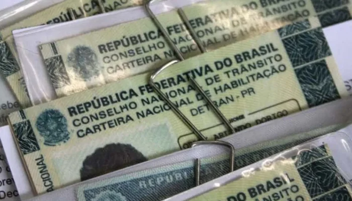 Câmara aprova suspensão da CNH para quem abandonar animais na rua