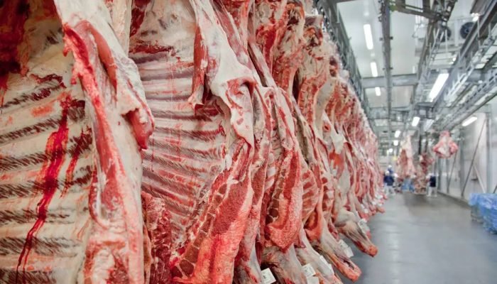 carne.webp.jpeg
