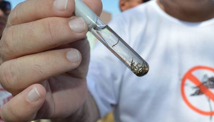 Dengue (Foto: Ascom FMS)