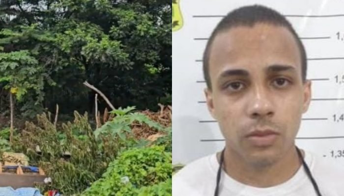 colagem / Portal ClubeNews