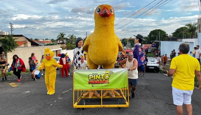 Carnaval 2026: Blocos arrastam foliões para ruas de Teresina neste sábado (14) — Foto: g1