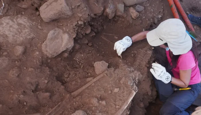 Esqueleto encontrado em praia de Tenerife pode ser de vítima da Peste Negra