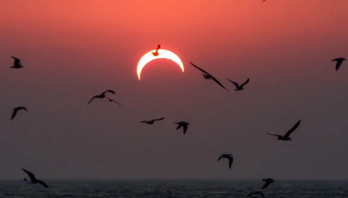 Fenômenos curiosos durante um eclipse solar