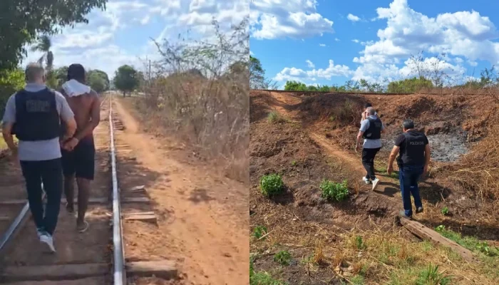Homem é preso por agredir a mãe idosa e descumprir medida protetiva em Altos