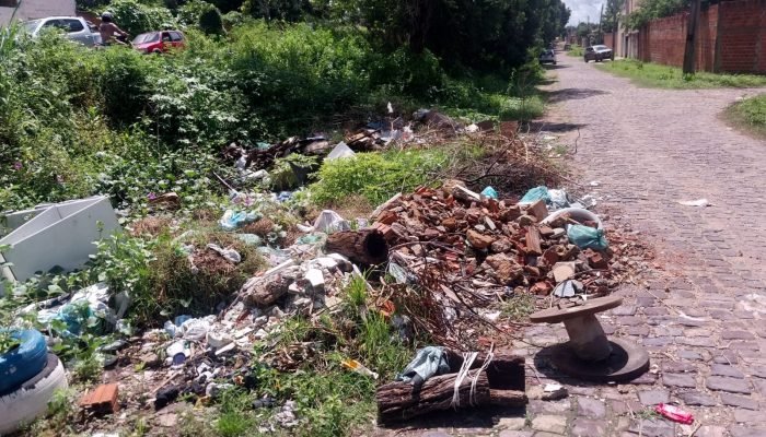 Moradores do Loteamento Mocambinho denunciam mato alto e falta de limpeza pública
