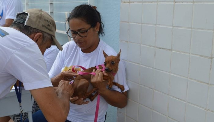 Campanha de vacinação contra a raiva em Teresina: locais e datas