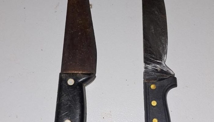 Homens são presos após invasão e agressão a moradores em Barras