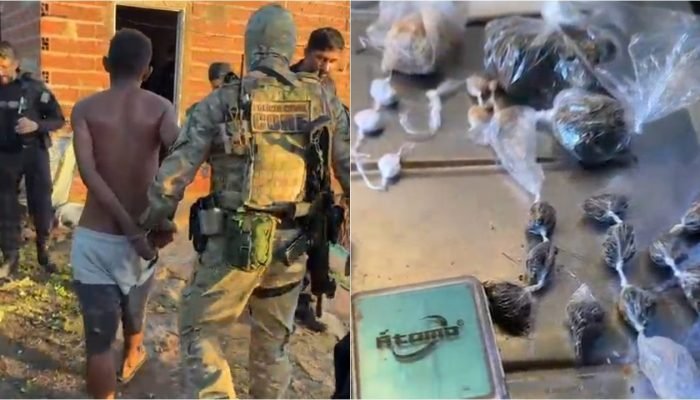 Polícia realiza operação e prende quatro suspeitos em Elesbão Veloso