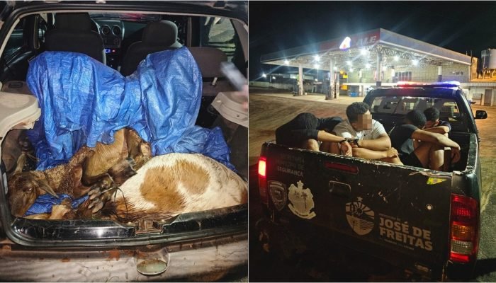 Quatro homens são detidos por furto de bodes na zona rural de José de Freitas