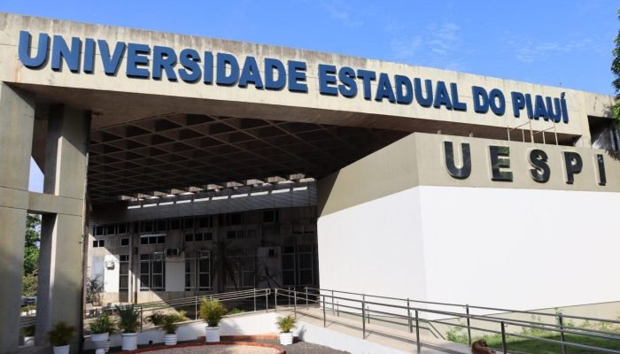 Uespi oferece curso gratuito de mandarim com aulas online a partir de maio