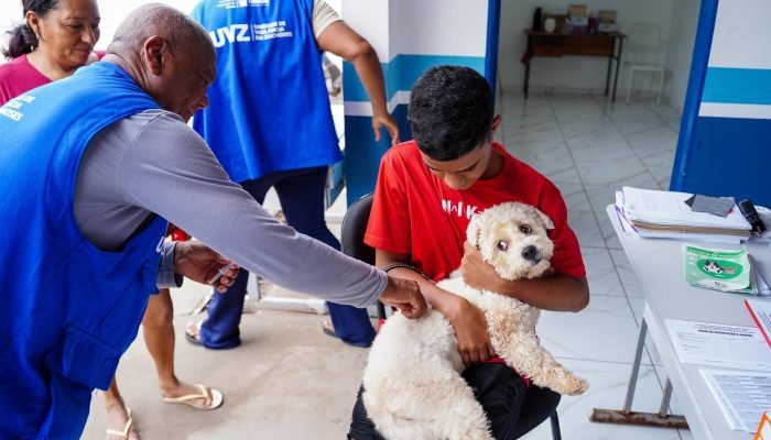 Vacinação, castração e microchipagem gratuitas para pets em Teresina neste sábado