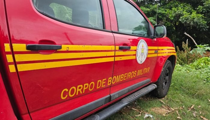 Motociclista morre em acidente na Pi-130 após colidir com árvore