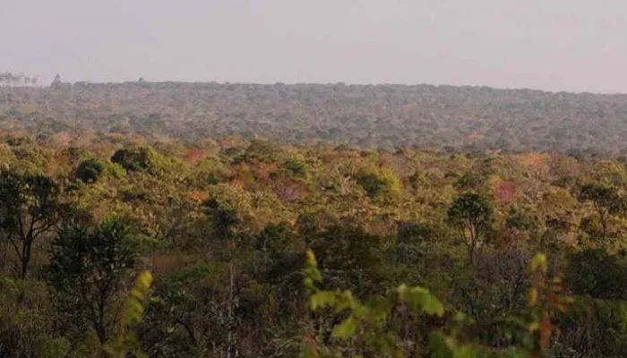 Piauí registra 22 defensores de direitos humanos protegidos em 2025