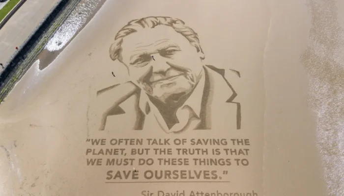 David Attenborough celebra 100 anos com documentário sobre gorilas