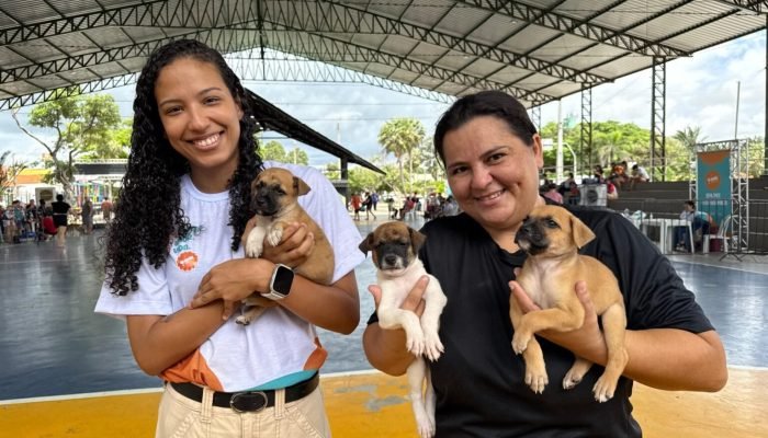 Piauí lança edital para seleção de entidades que cuidarão de animais resgatados