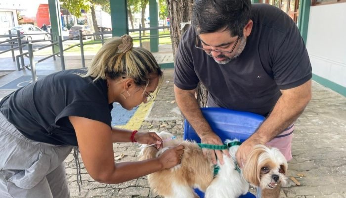 Vacina antirábica segue disponível na Gerência de Zoonoses em Teresina