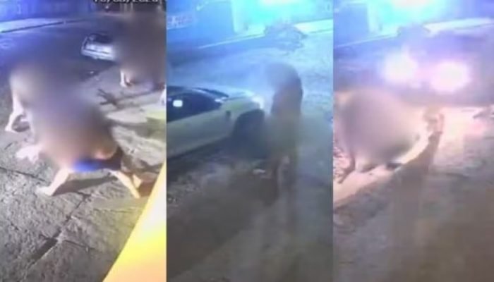 Tentativa de homicídio é registrada em vídeo no litoral do Piauí