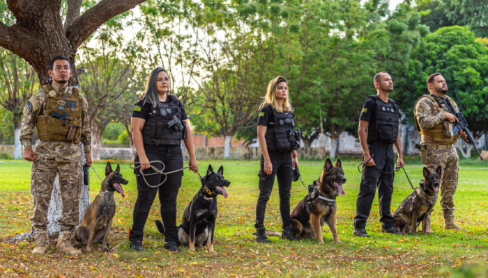 Cães farejadores são treinados para localizar desaparecidos no Piauí