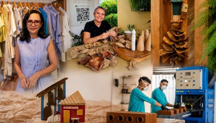 Empreendedorismo sustentável impulsiona economia e transforma vidas no Brasil