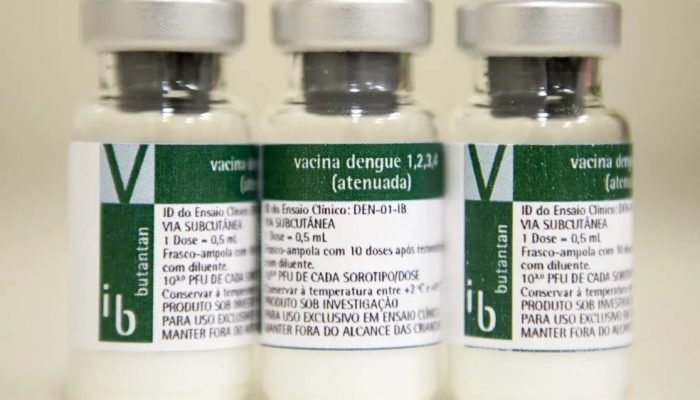 Suspensão da vacina da dengue: próximos passos do Ministério da Saúde