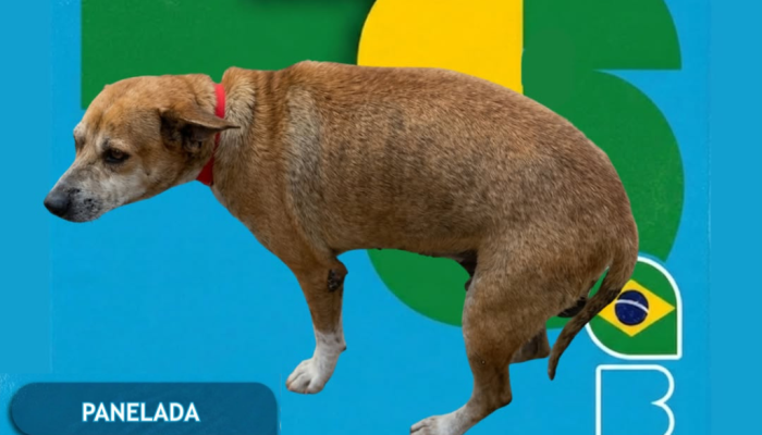Ufdpar promove campanha para cuidado com animais no campus