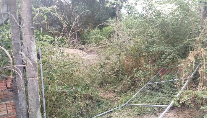 Corpo de mulher é encontrado carbonizado em Timon