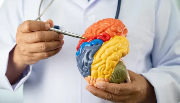 Cinco hábitos que prejudicam a saúde do cérebro, segundo neurologistas