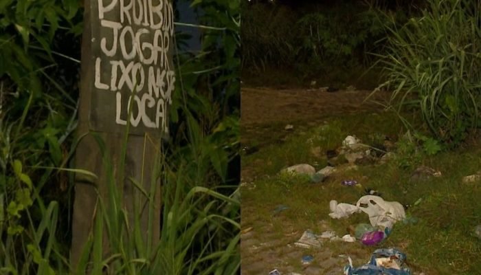 Terrenos baldios em Teresina acumulam lixo e afetam saúde e segurança
