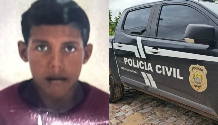 Adolescente desaparecido em Miguel Alves é encontrado morto em área de mata