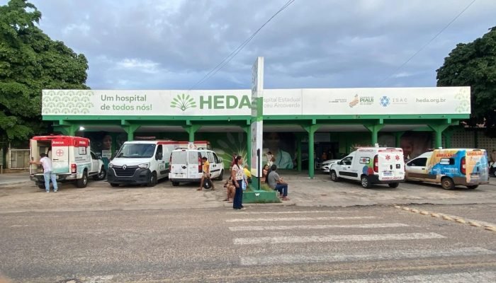 Adolescente morre após disparo acidental de espingarda artesanal em Cocal
