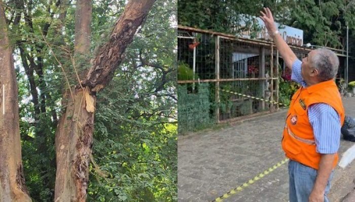 Trecho de calçada é interditado em frente ao Shopping Natureza por risco de queda de galho