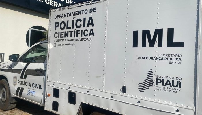 Corpo de homem é encontrado em matagal em Altos após disparos