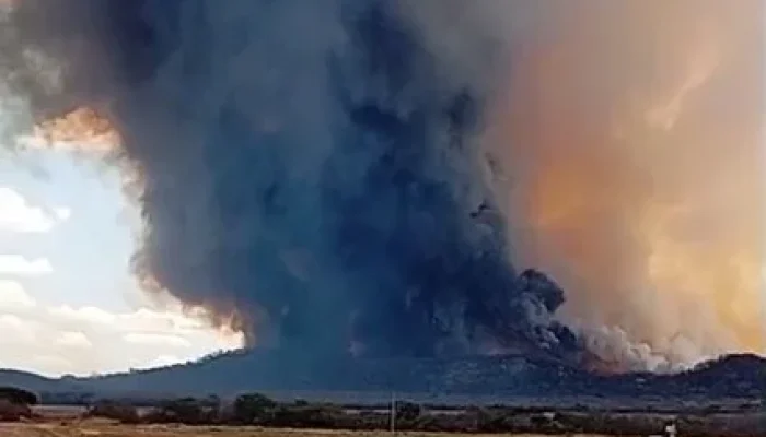 Incêndio atinge 2 mil hectares de mata no Piauí e mobiliza brigadistas