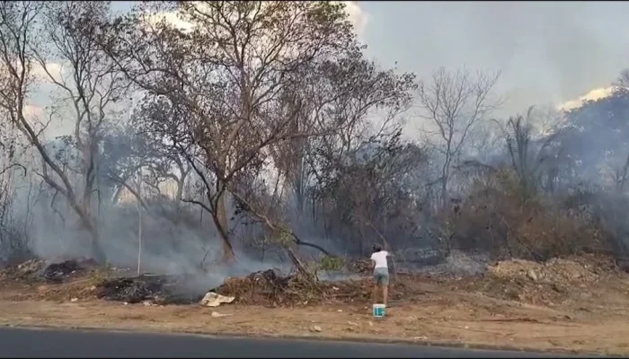 Incêndio em Teresina mobiliza moradores em combate às chamas