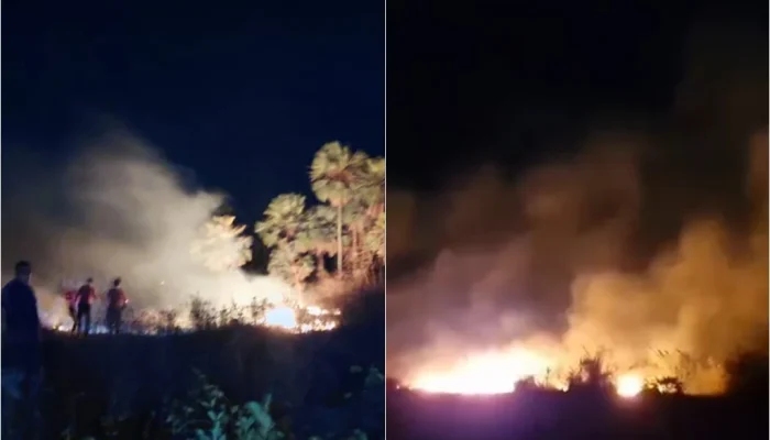 Incêndio em vegetação no Piauí é causado por fogos de artifício
