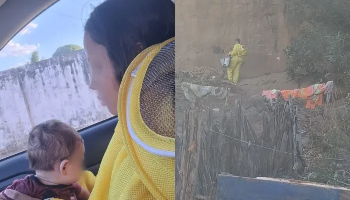 Mãe e bebê são resgatados após ataque de abelhas em Oeiras; cadela não sobreviveu