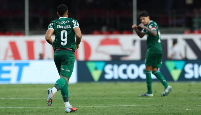 palmeiras-futebol-onde-assistir.png