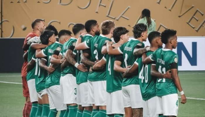 palmeiras.jpg
