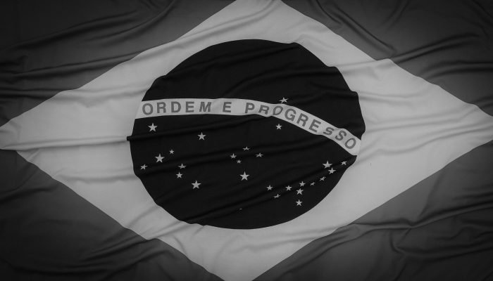 pexels-murilo-fonseca-14867612-6321080.jpg