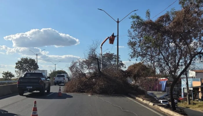 Trecho da Br-316 permanece interditado após incêndio em árvore em Teresina