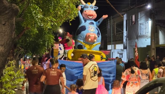 Carnaval de Teresina: bloco 'Vaca Atolada' reúne foliões e mantém tradição de 35 anos — Fo...